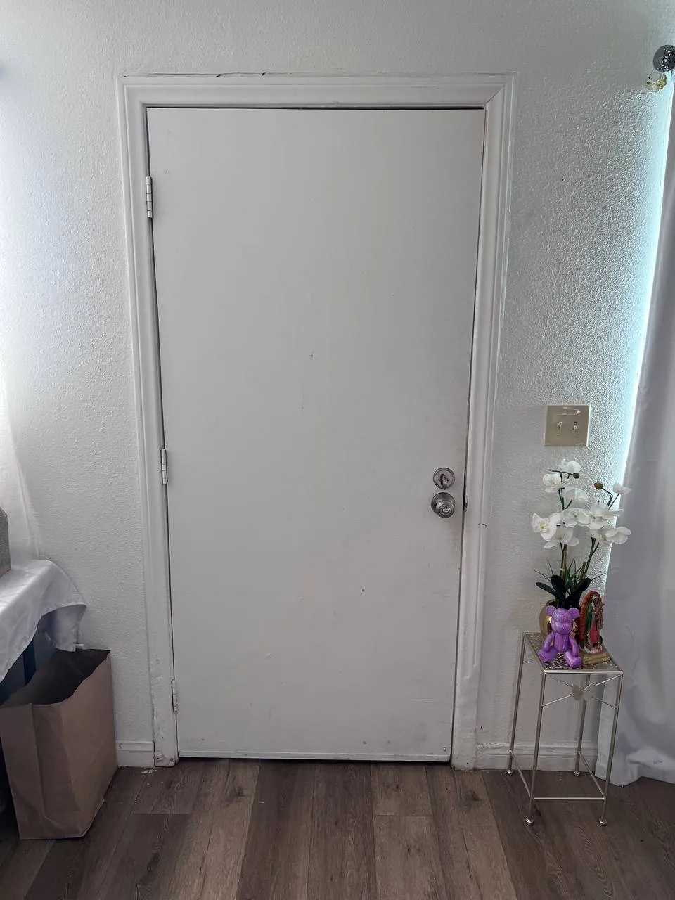 New white panel interior door installed and trimmed